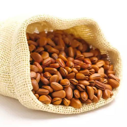 大雪時(shí)節(jié)養(yǎng)生，干果助您暖身又滋補(bǔ)